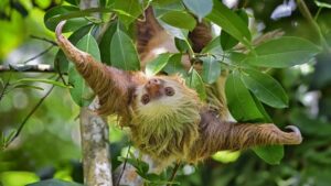 Unsloth Studio, 모델 확인만으로 코드 실행 취약점 수정